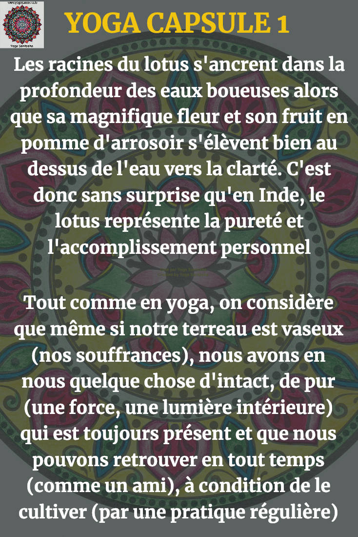 yoga capsule 01 lotus fr heavy contrast white